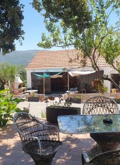 Alcobaca House | Casa 6 personnes Quinta Das Pedras Da Lagoa