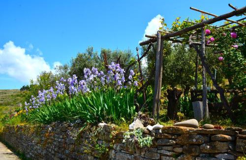 Castellabate House | Casa a Castellabate