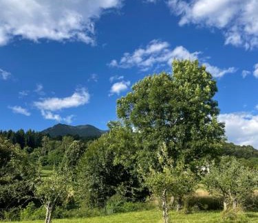Belluno Bed & Breakfast | Casa Acquariana