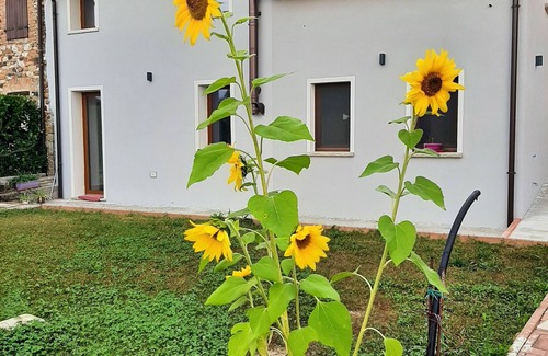 Bribano House | casa Agribon punto di partenza per le dolomiti bellunesi
