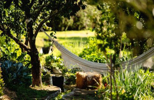 Vila Real House | Casa Agricola da Levada Eco Village