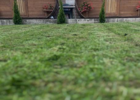 Rosia Montana Cabin | Casa Ale