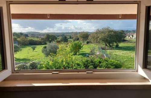 Paialvo Apartment | Casa Alegria - The Orangery