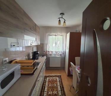Borsa House | Casa Alma