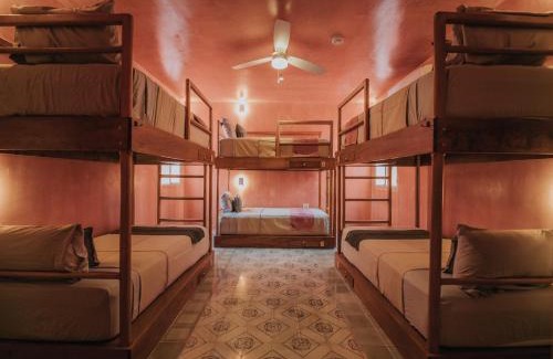 Centro Hostel | Casa Amate 61 Boutique Hostel