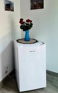Sinpetru Apartment | CASA ARYAN