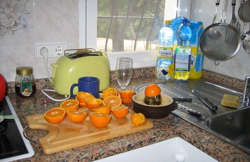 Montgo de Toscamar Villa | Casa Barbara - Finca In the countryside with park-like garden