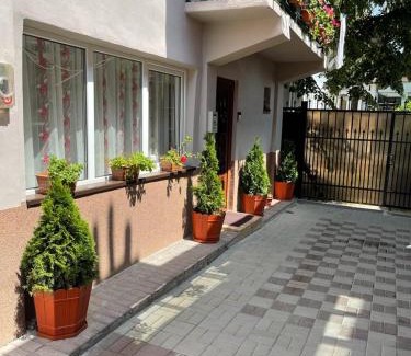 Calimanesti House | Casa Best