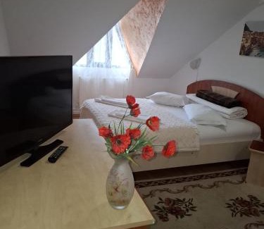Iasi House | Casa Boiereasca
