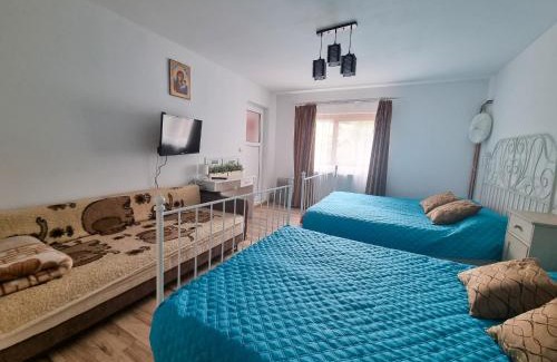 Campulung Moldovenesc House | Casa bunicilor dor de Bucovina