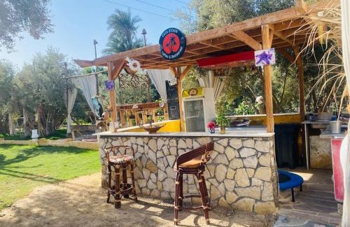 El Faiyum Ski Chalet | Casa Byoum jungle