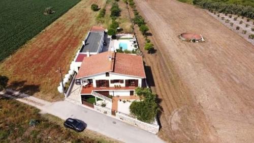 Cadima House | Casa Calado