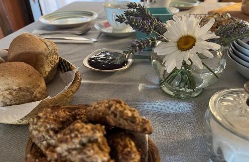 10 de Diciembre Bed & Breakfast | Casa Campo B&B