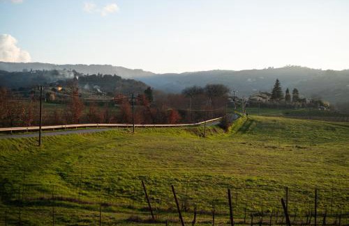 Montevarchi House | Casa Caterina Tuscany