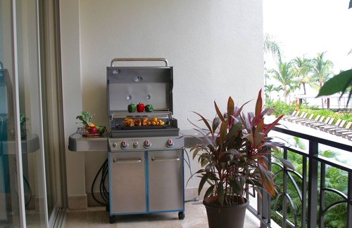 Emiliano Zapata Condo | Casa Celeste at Molino de Agua -Stunning 3/3 Suite - ocean, pool & garden views