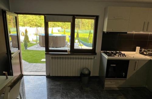 Albac House | Casa Cernat