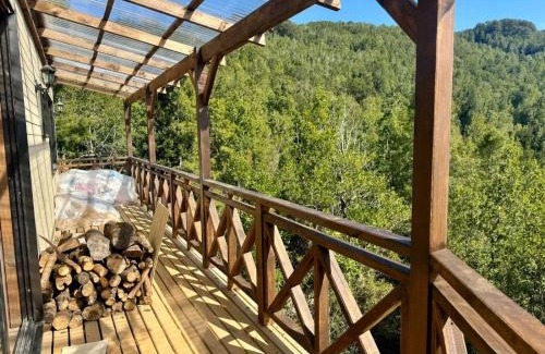 Valdivia House | Casa con vista al rio Cutipay
