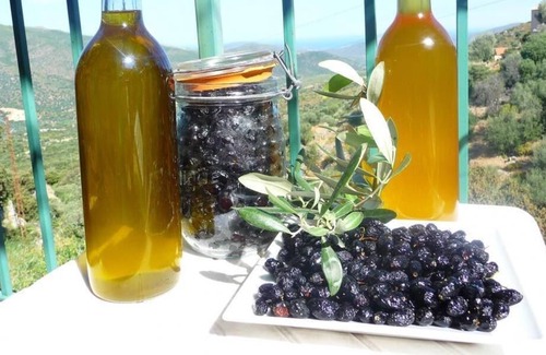 Lama Apartment | Casa Costa. LAMA. Durable and reasoned. Studio, terrace above the olive trees,