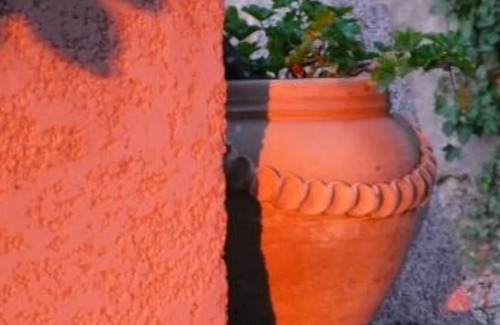 Lama Apartment | Casa Costa. LAMA. Durable and reasoned. Studio, terrace above the olive trees,