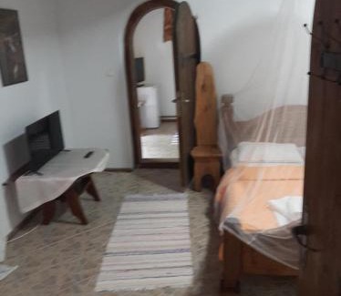 Murighiol House | Casa cu flori Murighiol