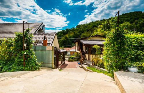 Tirgu Ocna Bed & Breakfast | Casa cu Muri