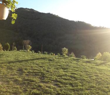Vidra House | Casa cu Muscate