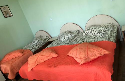 Maracineni House | Casa cu pauni