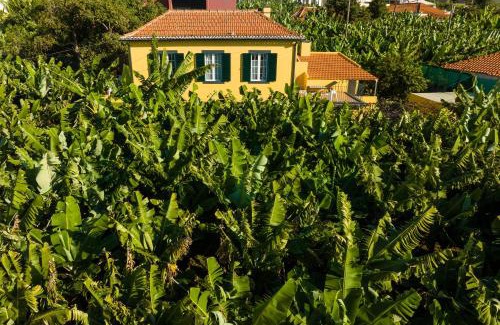 Santo Antonio House | Casa D`Avó Celina