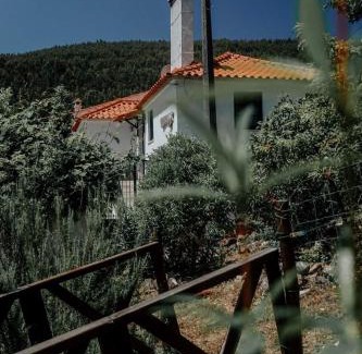 Figueiro dos Vinhos House | Casa da Milharica