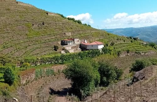 Lamego House | Casa da Quinta do Porto