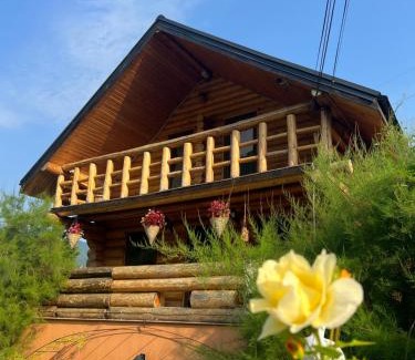 Vadurele Cabin | Casa De Bușteni