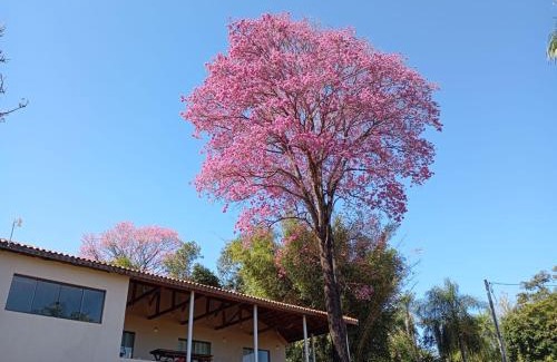 Guaira House | Casa de Campo Tio Mário