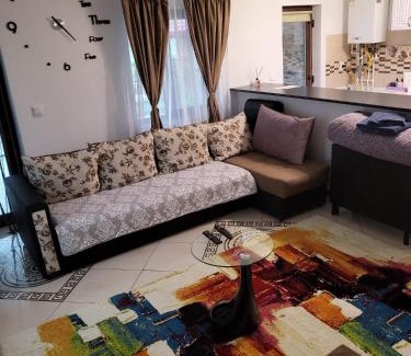 Vaslui Villa | Casa de inchiriat in Vaslui