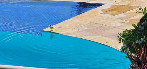 Trairi House | Casa de Praia em Mundaú
