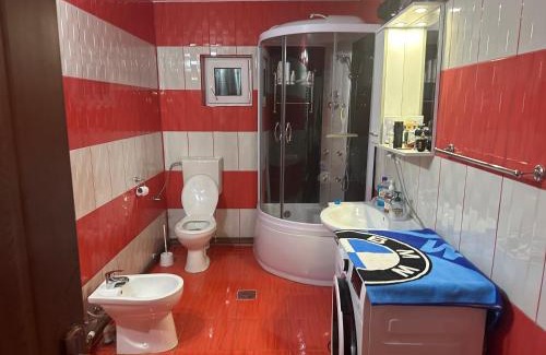 Vidra Other | Casa de vacanța Ovy