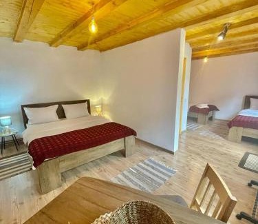 Crit House | Casa de Vacanta FAMILY & FRIENDS