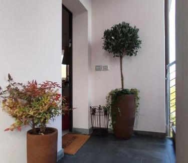 Lucca Historical Center Apartment | Casa degli Aromi