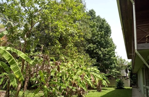 Calabash Bight Cabin | Casa del campo