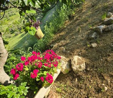 Case Fornace Cabin | Casa di Giusy