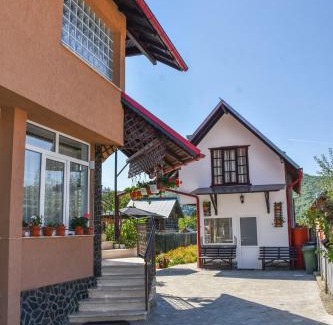 Oestii Paminteni House | Casa Diana-Maria