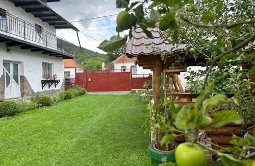 Zarnesti House | Casa Didi