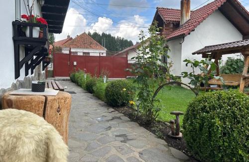 Zarnesti House | Casa Didi