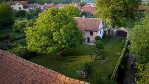 Mandra House | Casa din Şona