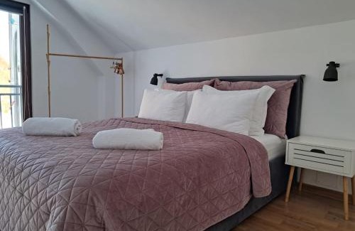 Turnu Ruieni Villa | Casa din livada Borlova