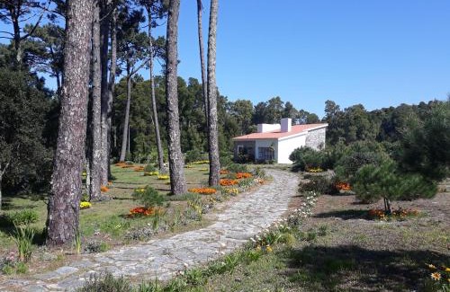 Caminha House | Casa do Sol