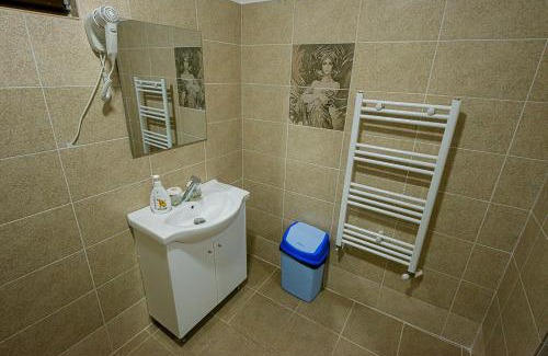 Pitesti House | Casa Domneasca Riana
