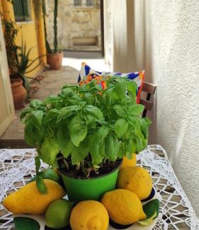 Letojanni Apartment | Casa Don Michele
