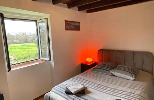 Ferro House | Casa Dora