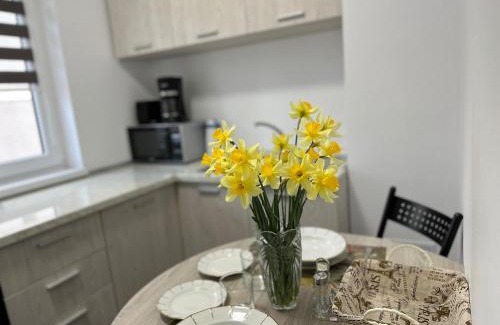 Eforie Apartment | Casa Dramar
