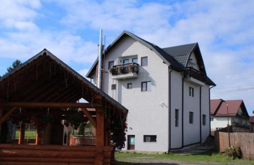 Dorna Candrenilor House | Casa Edi